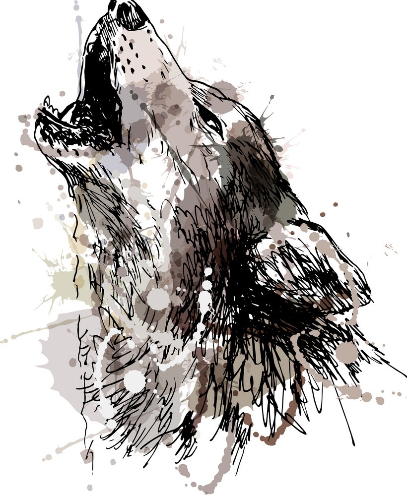 遠吠えするオオカミの手描きイラスト イラスト