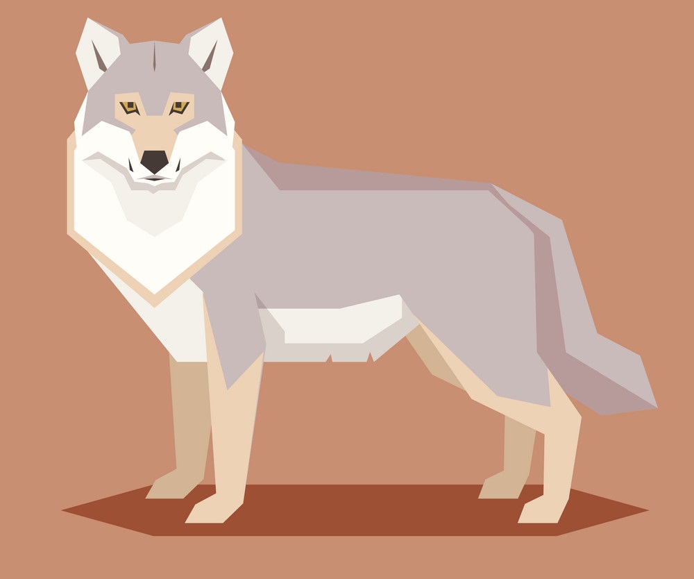 平らな幾何学的なオオカミのイラスト イラスト