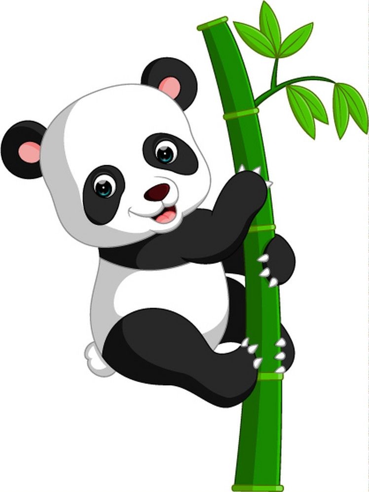竹の木に乗っているパンダのイラスト イラスト