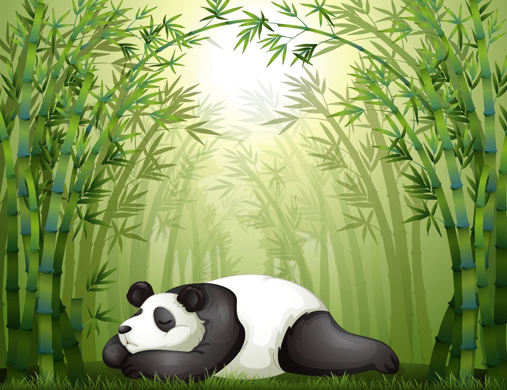 竹の木の間で寝ているパンダのイラスト イラスト