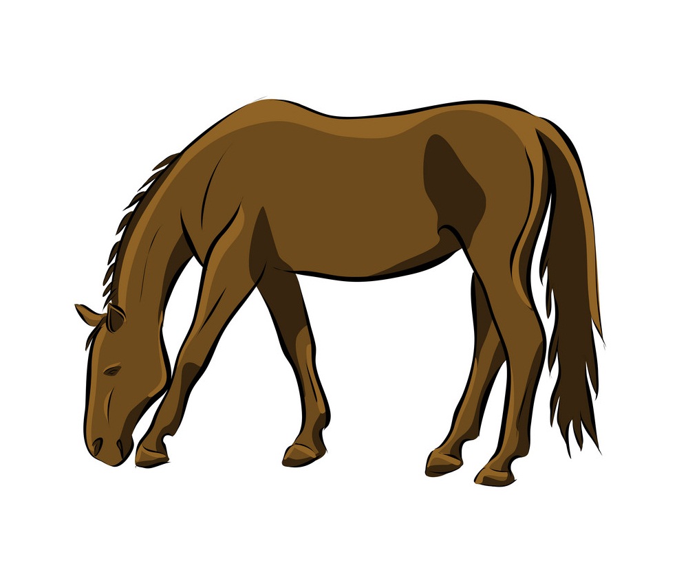 手描きの茶色の馬のイラスト
