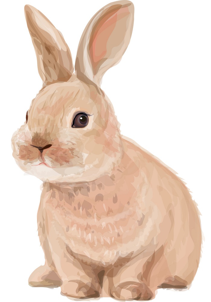 ウサギのイラスト 2