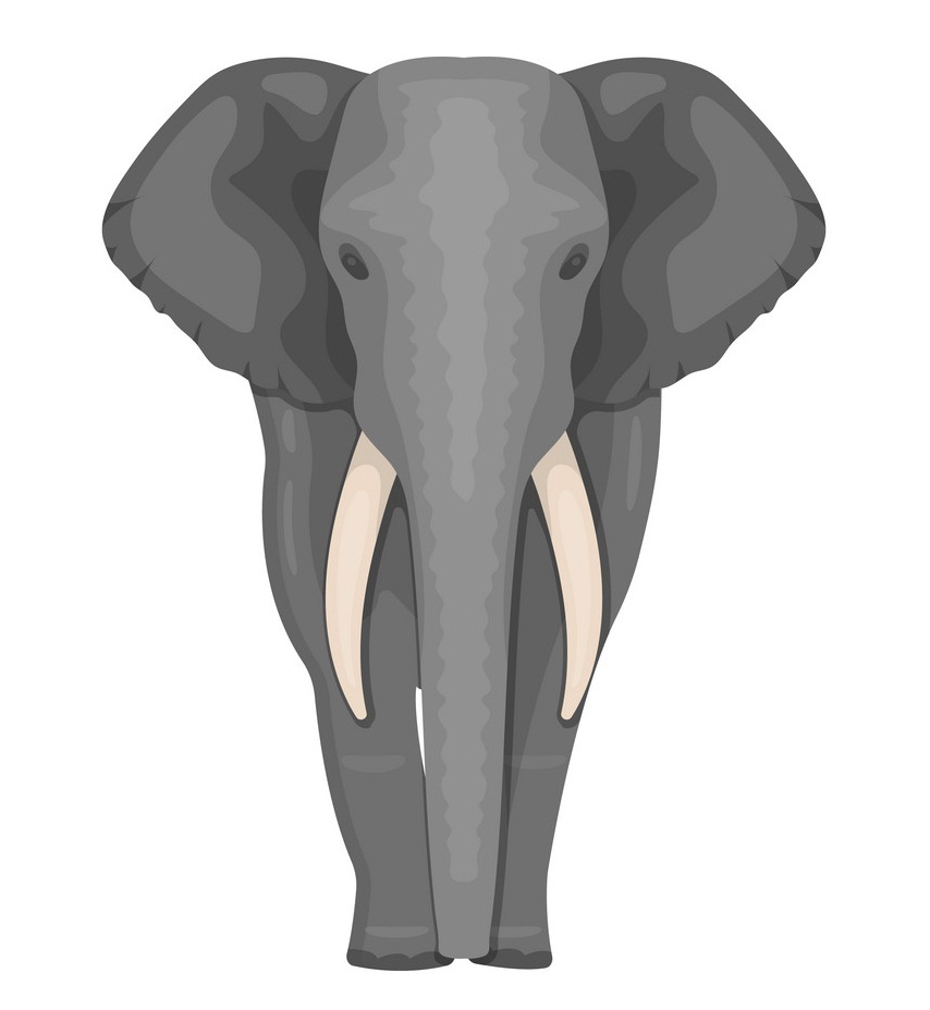 野生のアフリカ象のイラスト イラスト