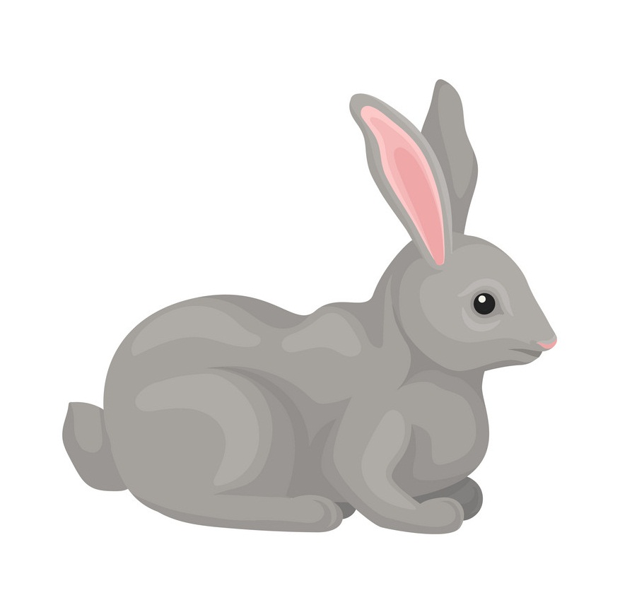 野生の灰色ウサギのイラスト イラスト