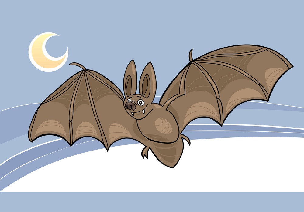 夜に飛んでいるかわいいコウモリのイラスト イラスト