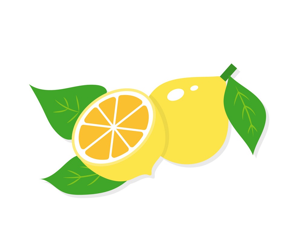 全体と半分のレモンのフラット デザインのイラスト イラスト