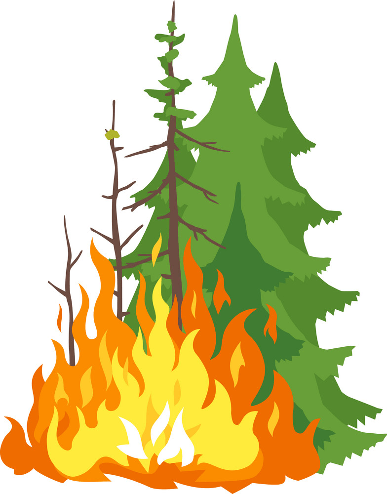 燃える森のイラストpng透明