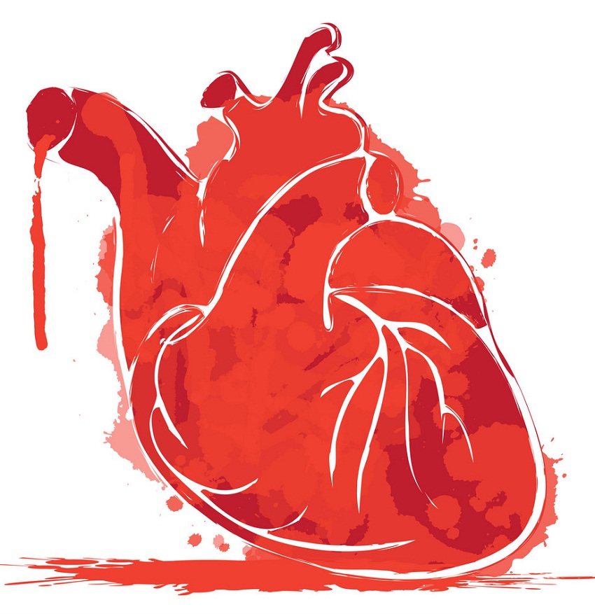 血の飛沫と水彩の人間の心臓をイラストします。 イラスト