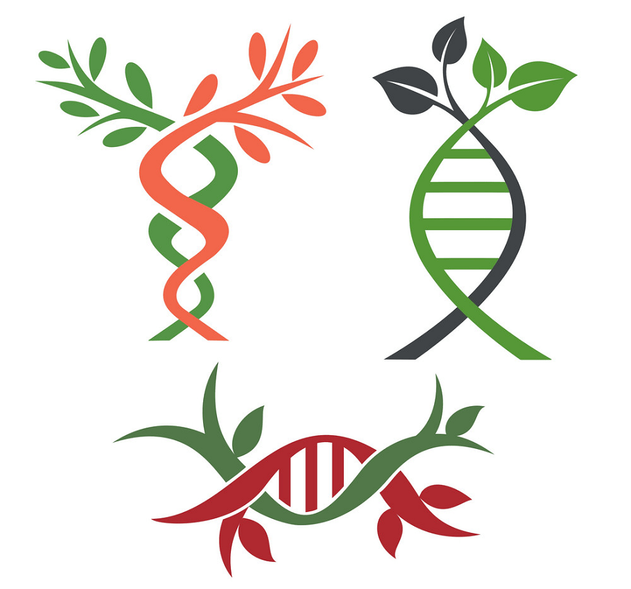 DNA遺伝植物のイラストpng イラスト