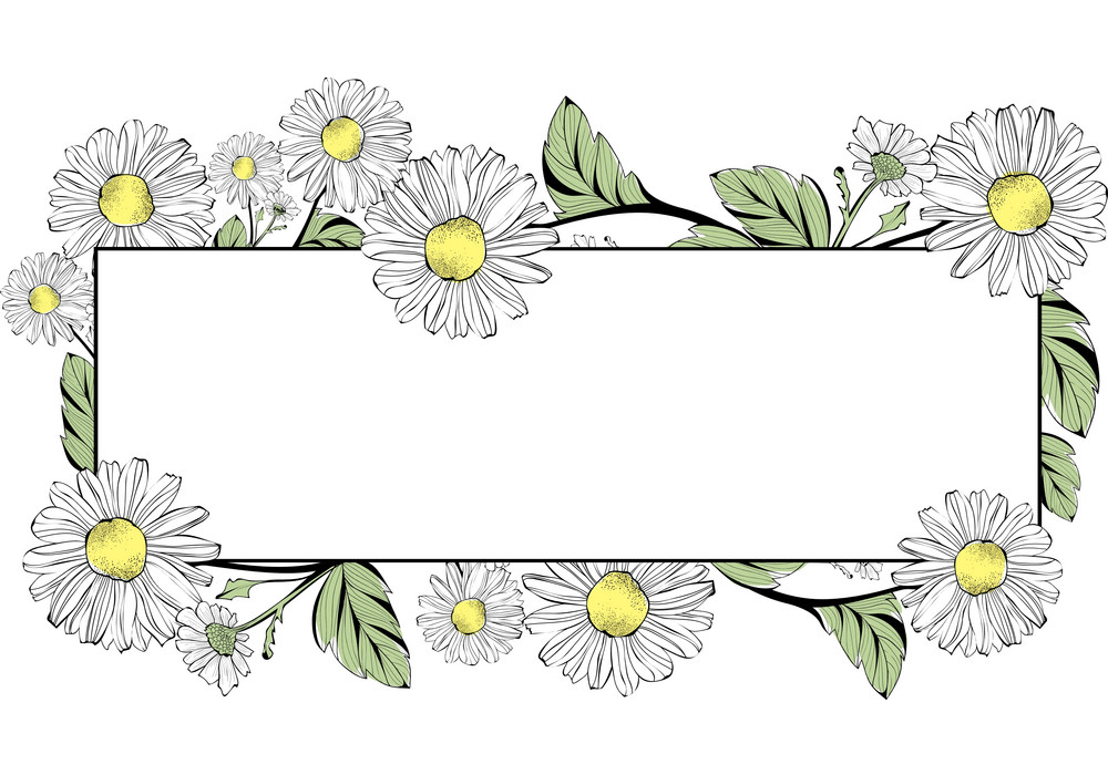 デイジーの花のボーダーpngをイラストします イラスト