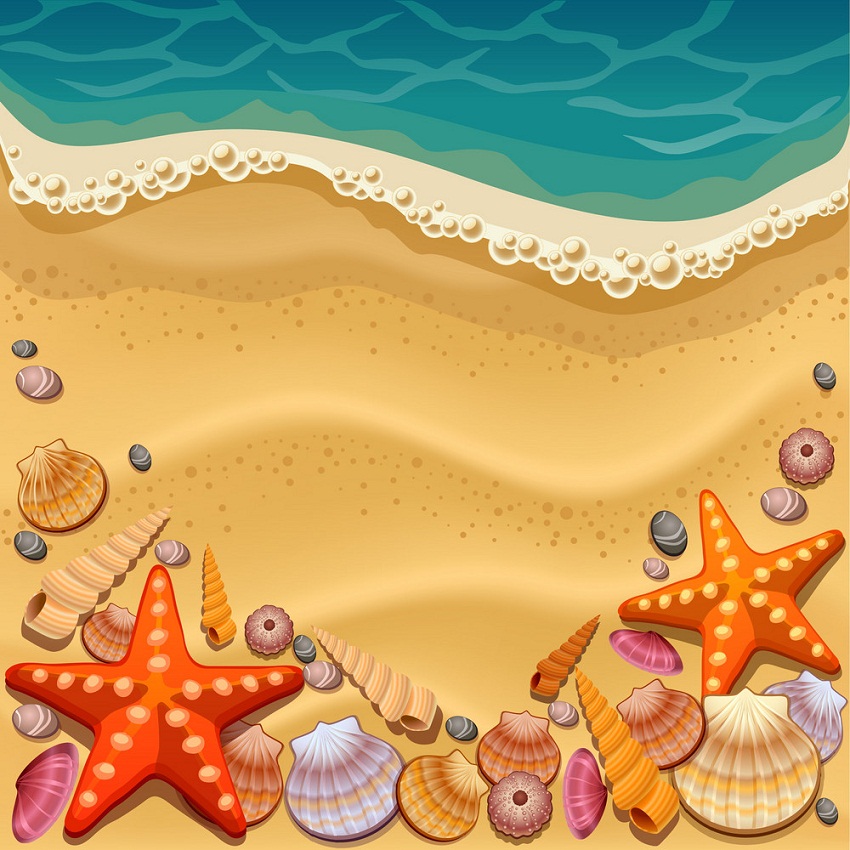 浜辺の貝殻 イラスト無料