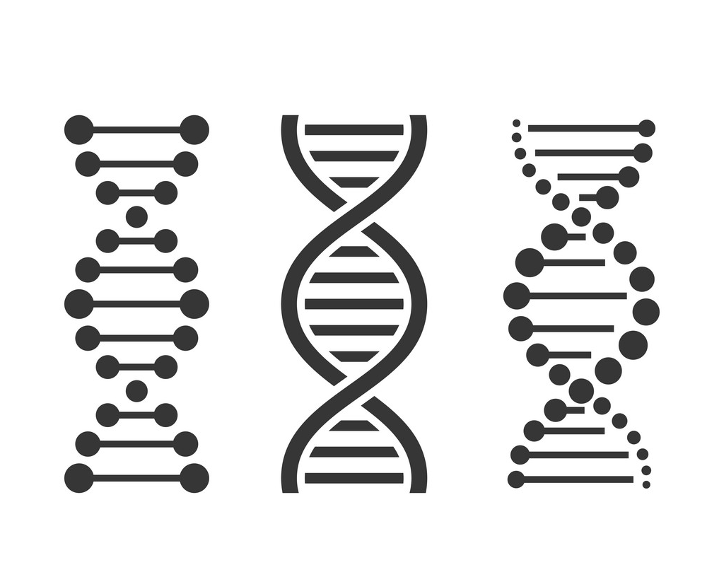 イラスト DNA アイコン セット PNG 透明