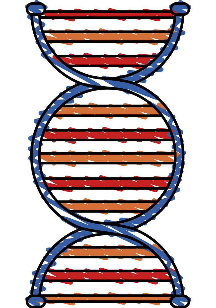 イラストDNA描画PNG透明