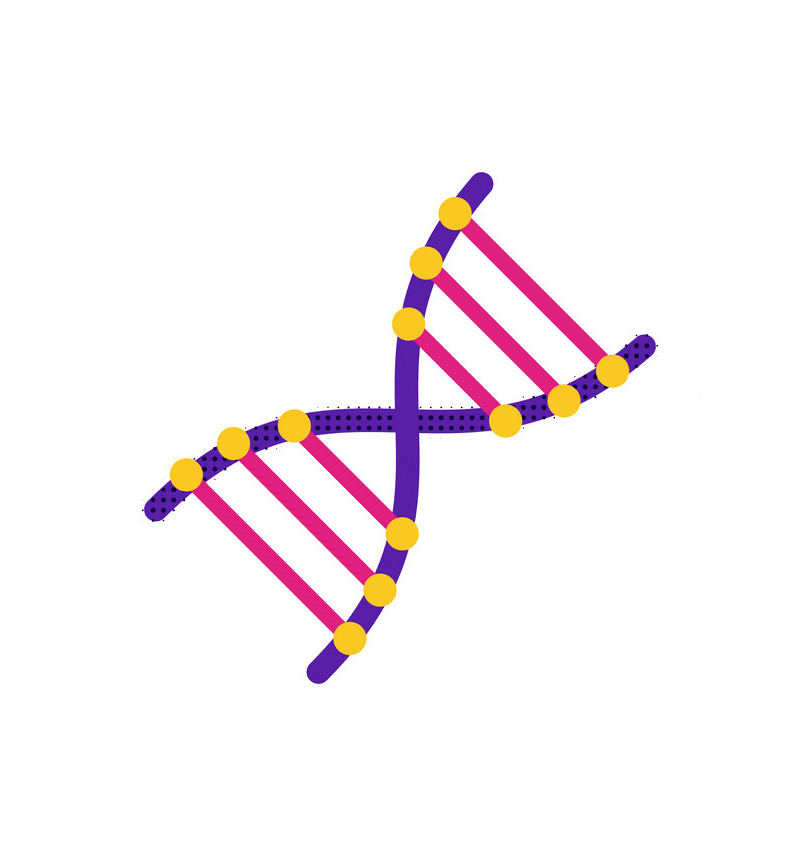 イラスト DNA フラット アイコン PNG 透明 イラスト
