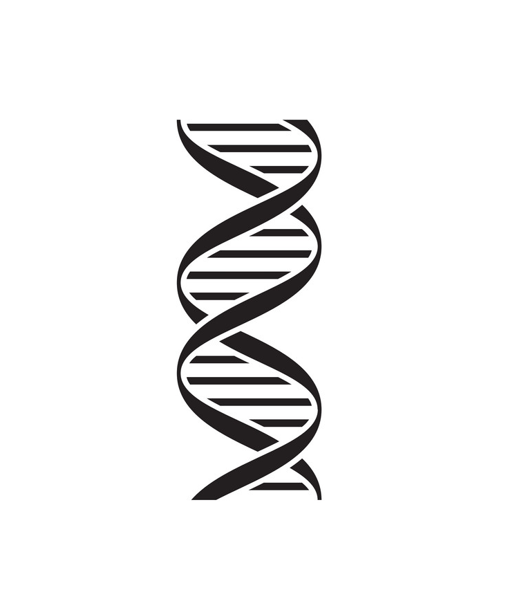 イラスト DNA 黒いアイコン 1 PNG 透明 イラスト