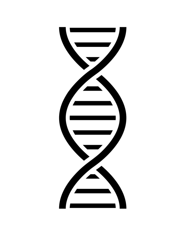 イラスト DNA 黒いアイコン PNG 透明 イラスト