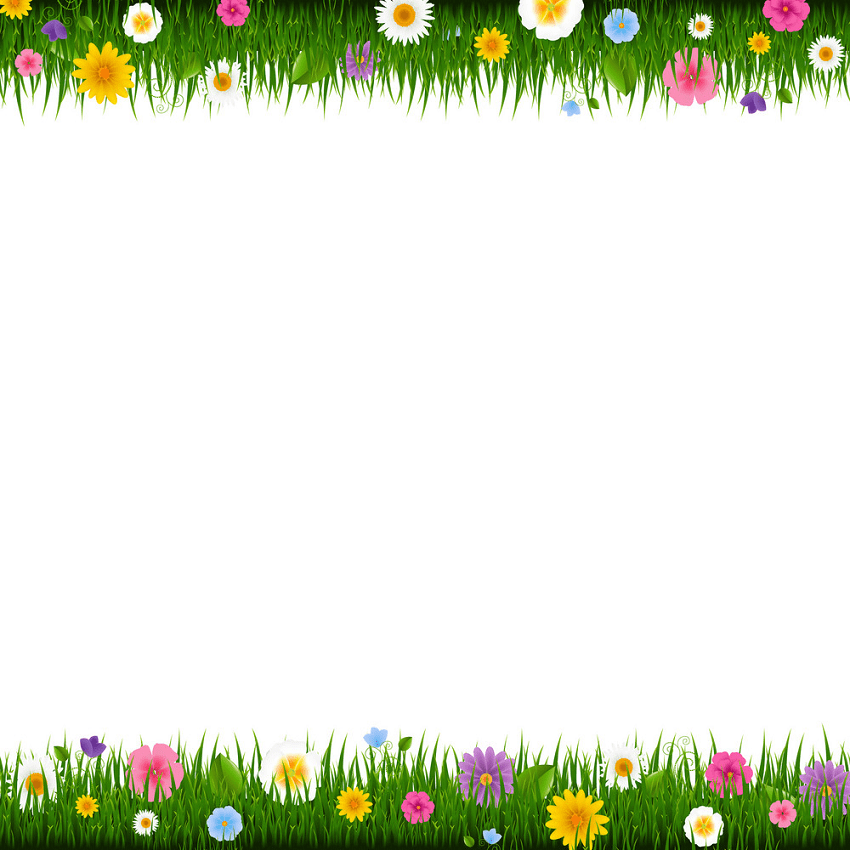 イラスト草と花のボーダーpng イラスト