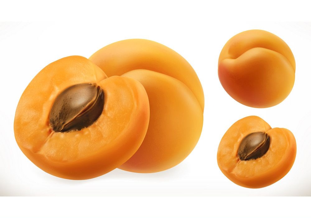 illust Riaruna apurikotto o irasuto shimasurealistic fresh apricots イラスト