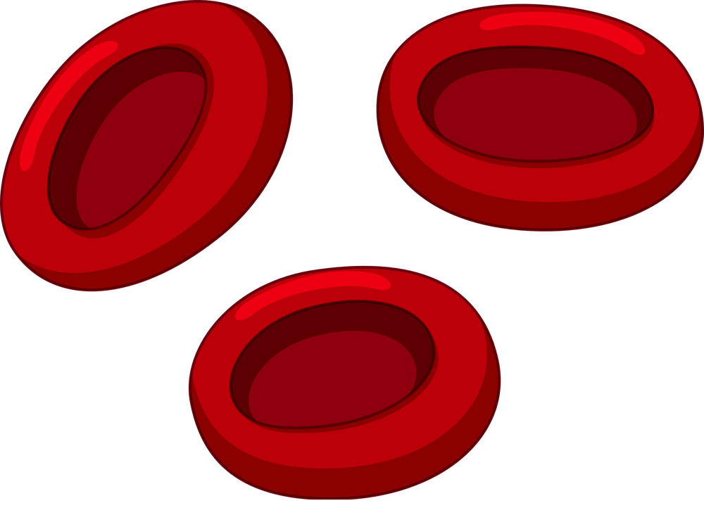 イラスト赤血球png