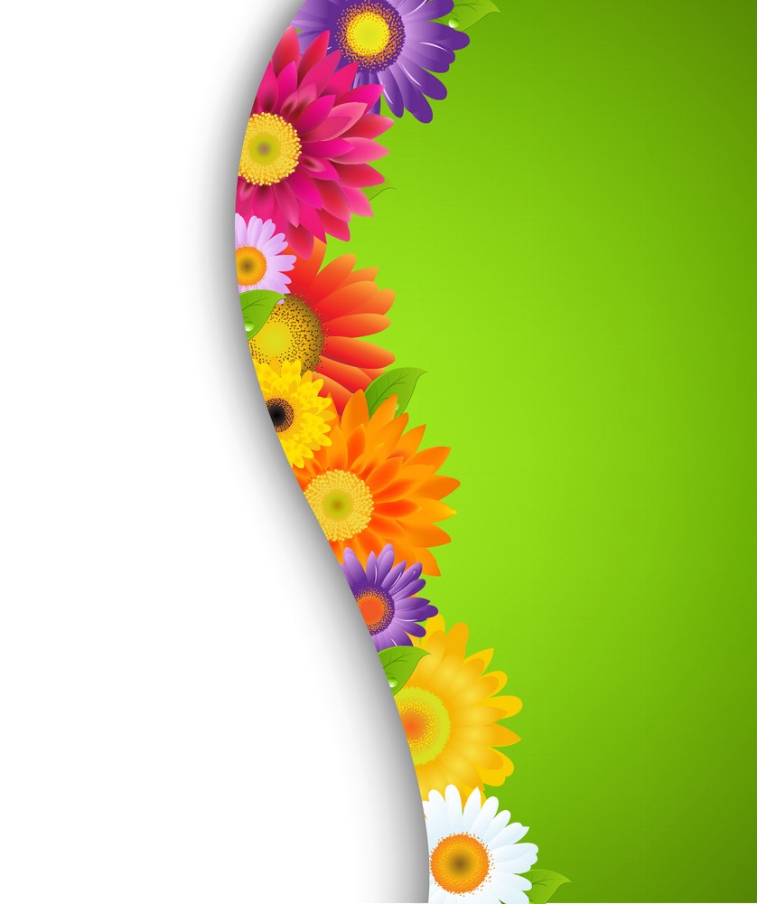 カラフルなガーバーの花の境界線をイラストします。 イラスト