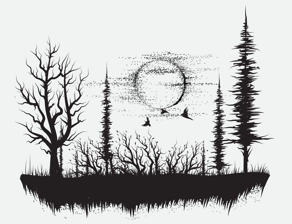奇妙な森のイラスト イラスト