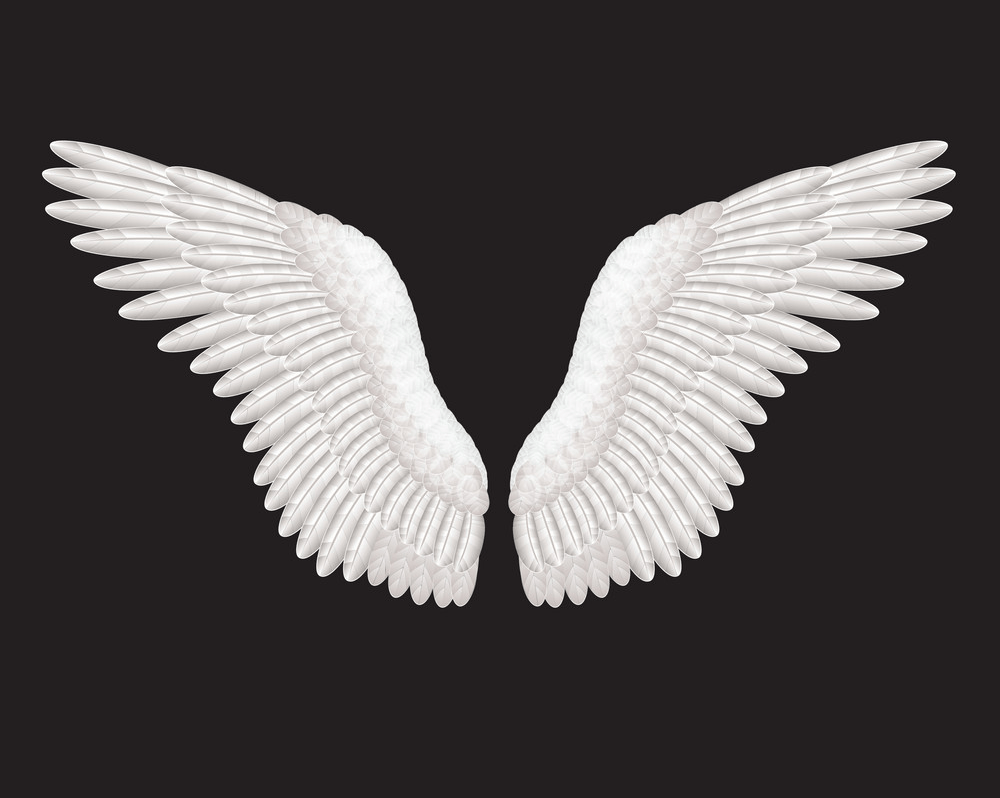 黒の背景に天使の羽 PNG イラスト イラスト