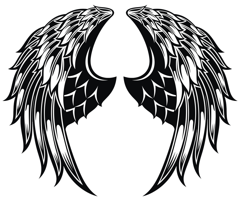 黒と白の天使の羽が透明なイラスト