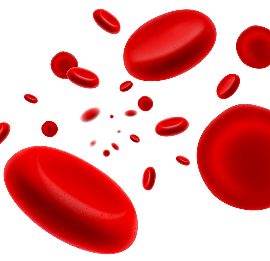 流れる赤血球pngのイラスト