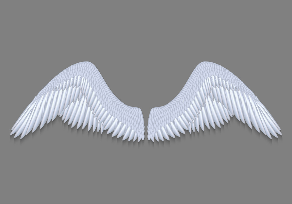 白い天使の羽 PNG イラスト