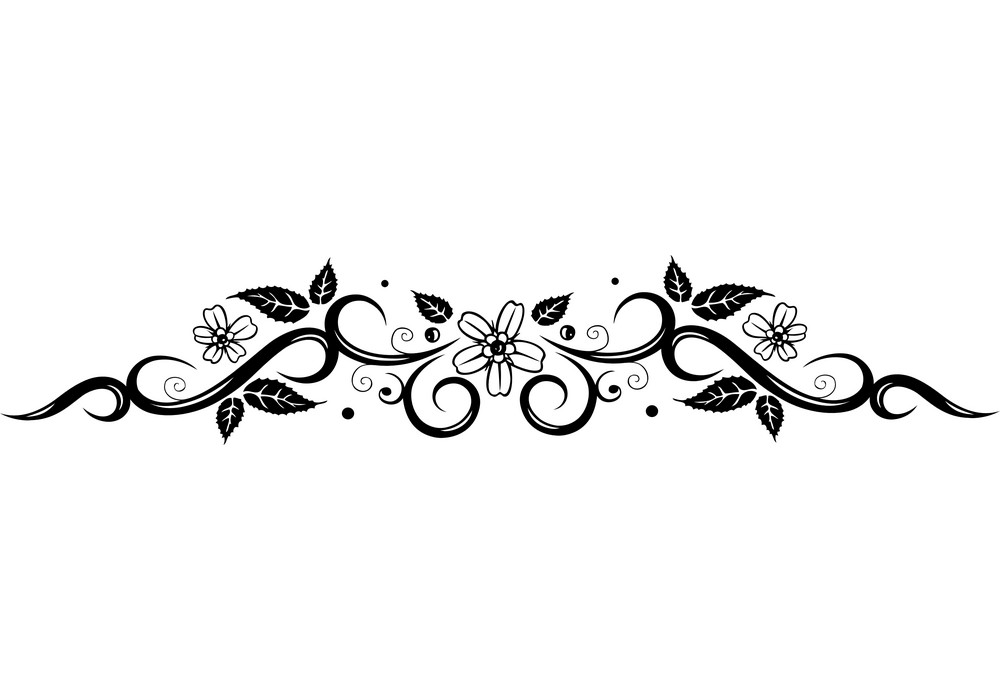 白黒の花のボーダーpngをイラストします イラスト