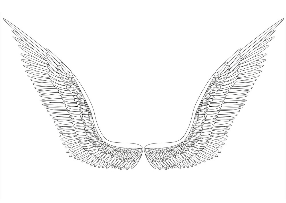 スケッチを開いた天使の羽のイラスト