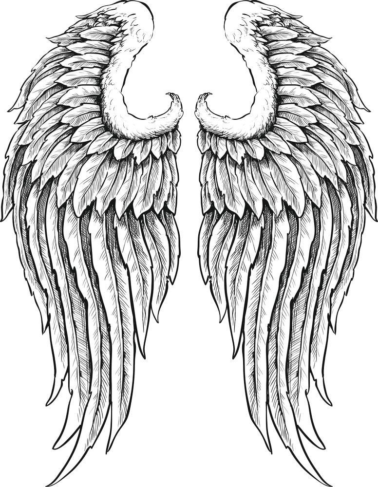 手描きの天使の羽pngイラスト