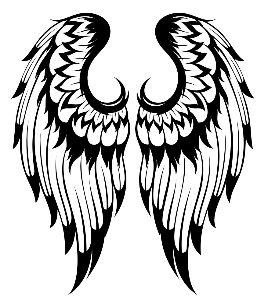 天使の羽白黒透明イラスト