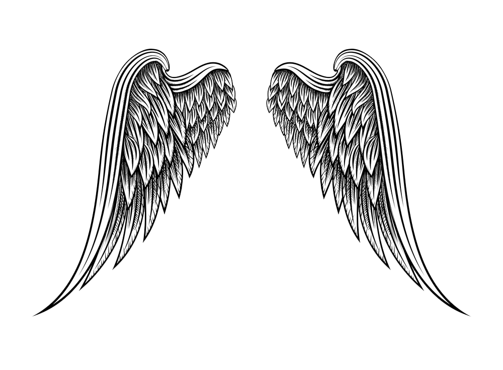 美しい手描きの天使の羽の透明なイラスト