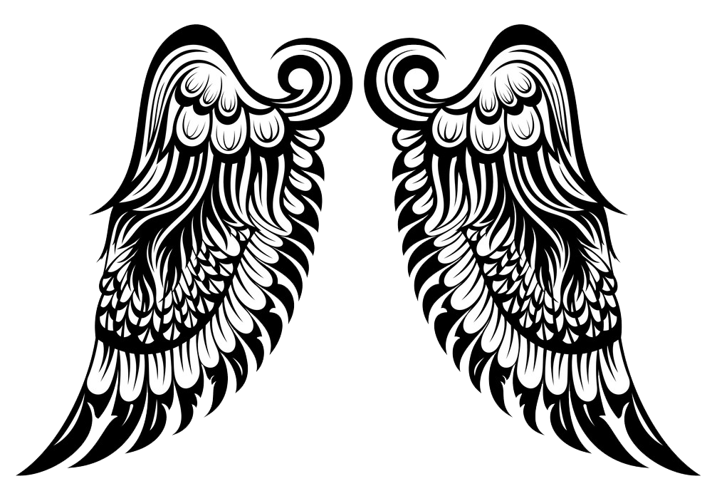 美しい天使の羽の透明なイラスト イラスト