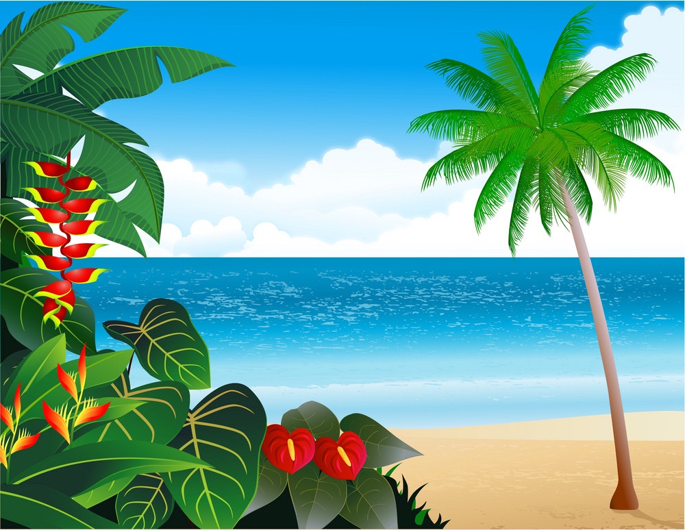 美しいトロピカルビーチのイラスト イラスト