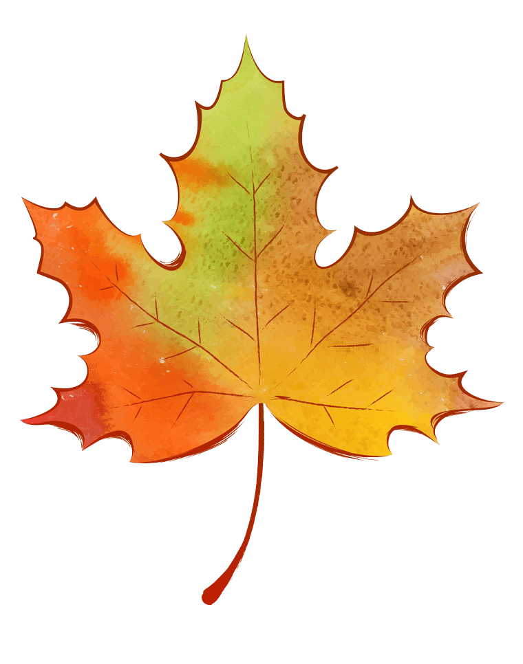 秋の葉っぱのイラスト 透明 イラスト