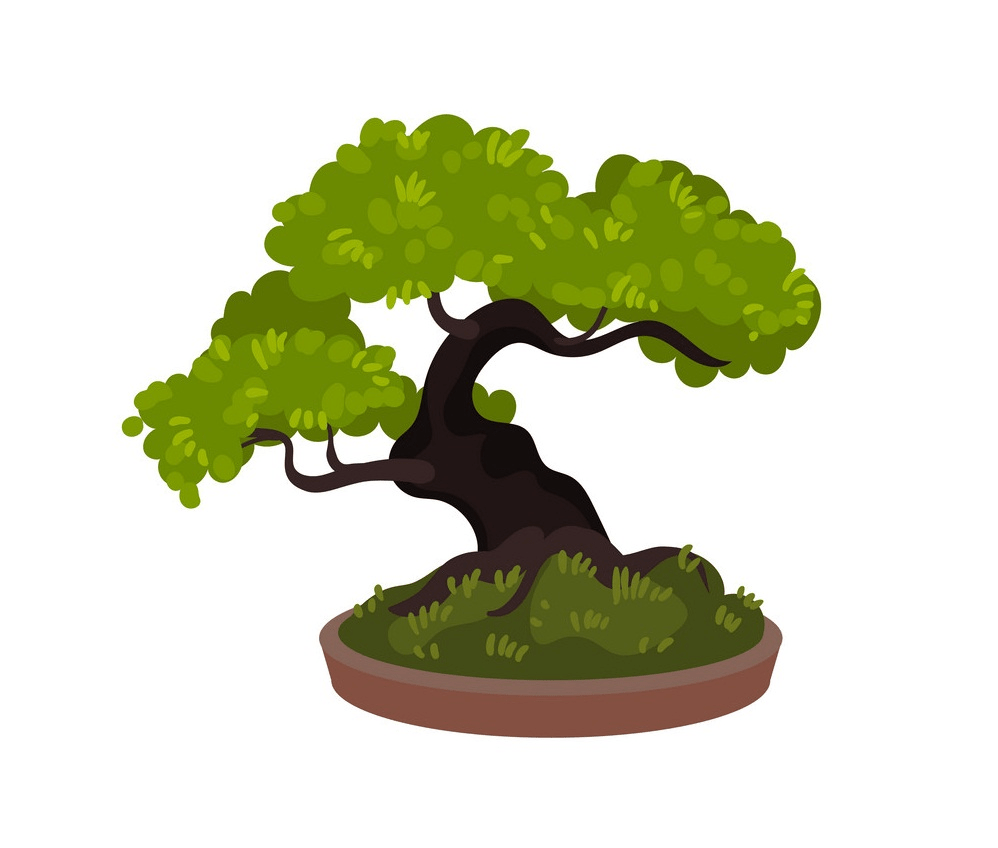 盆栽の木のイラスト1 イラスト