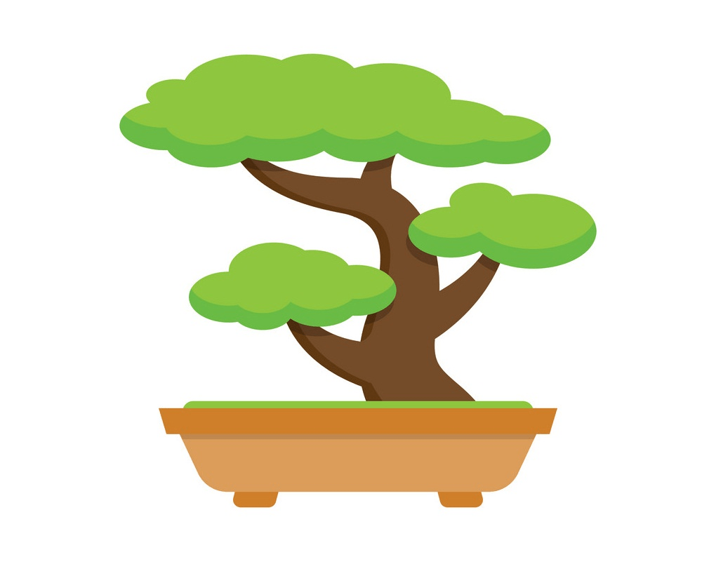 盆栽の木のイラスト イラスト