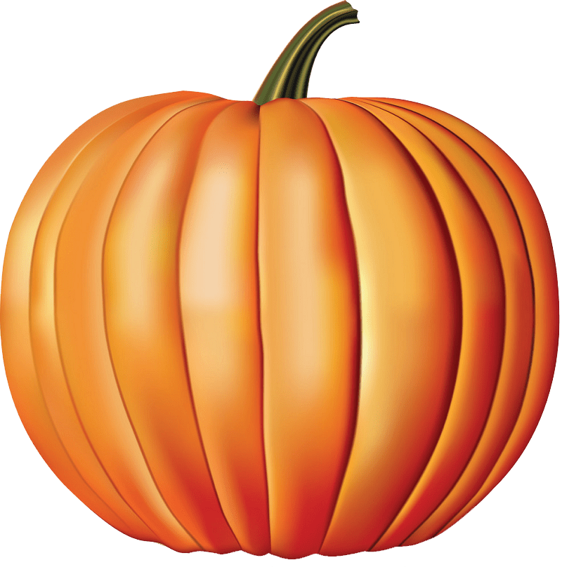 熟したかぼちゃ イラスト透明 イラスト