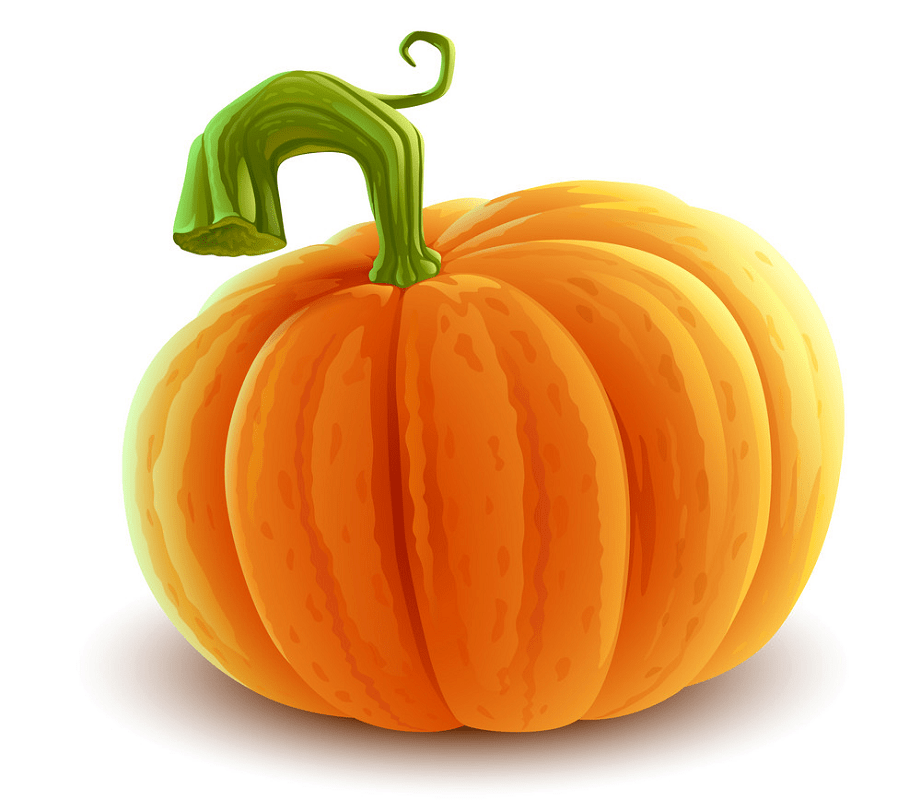 かぼちゃのイラスト2 イラスト