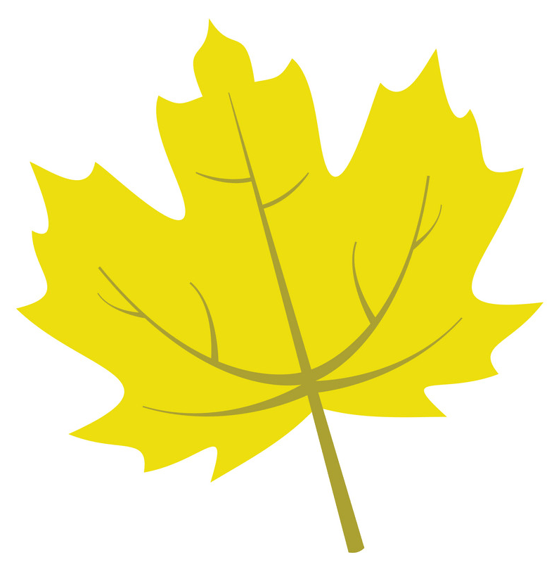 黄色のカエデの葉のイラスト 2 イラスト