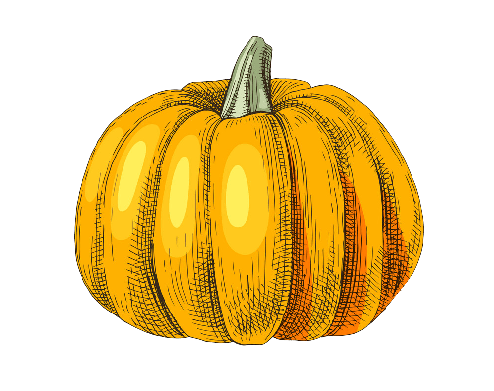 手描きかぼちゃ イラスト透明