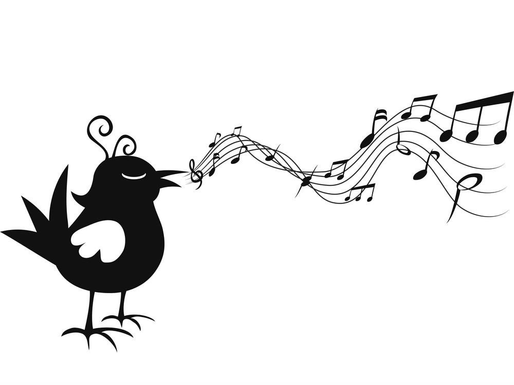 鳥と音符のイラストpng イラスト