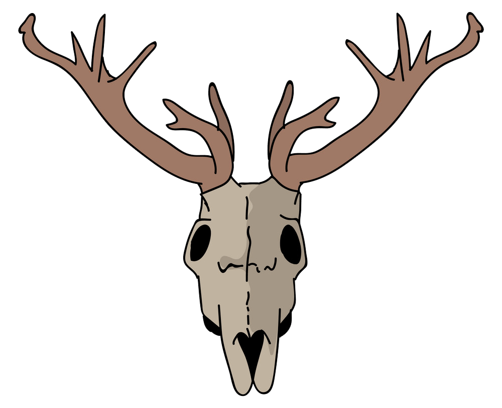 鹿の頭蓋骨のイラスト透明