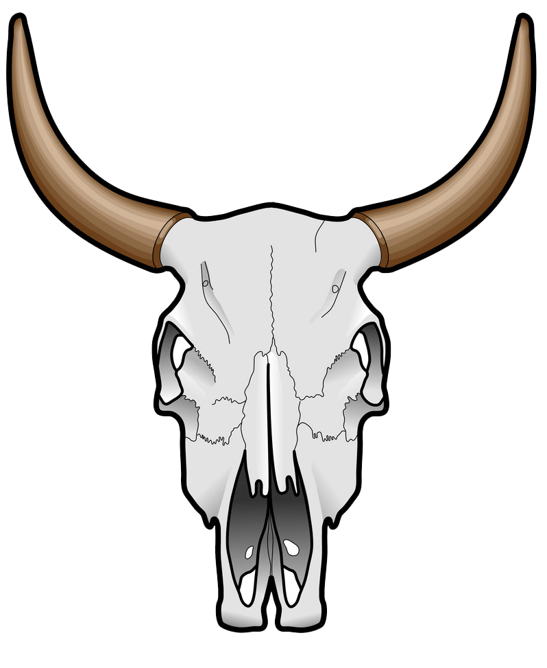 牛の頭蓋骨のイラスト透明 イラスト