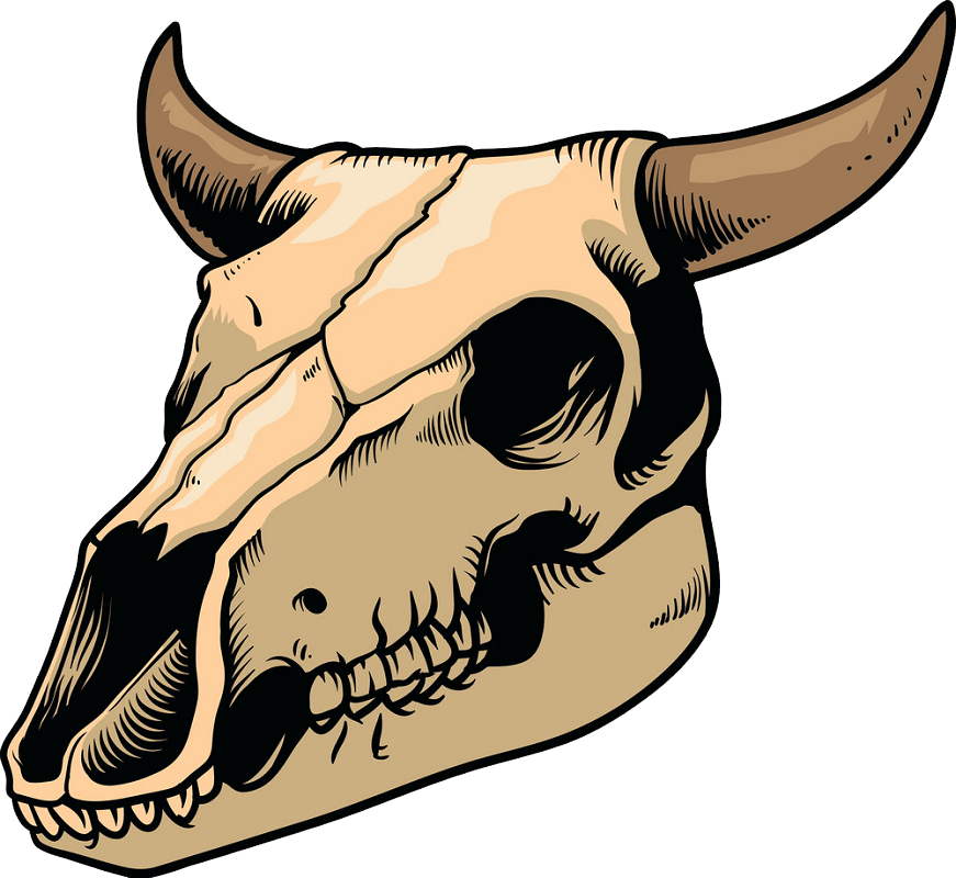 牛の頭蓋骨のイラスト透明 イラスト