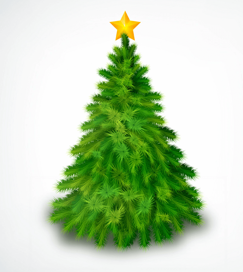 リアルなクリスマスツリーのイラスト イラスト