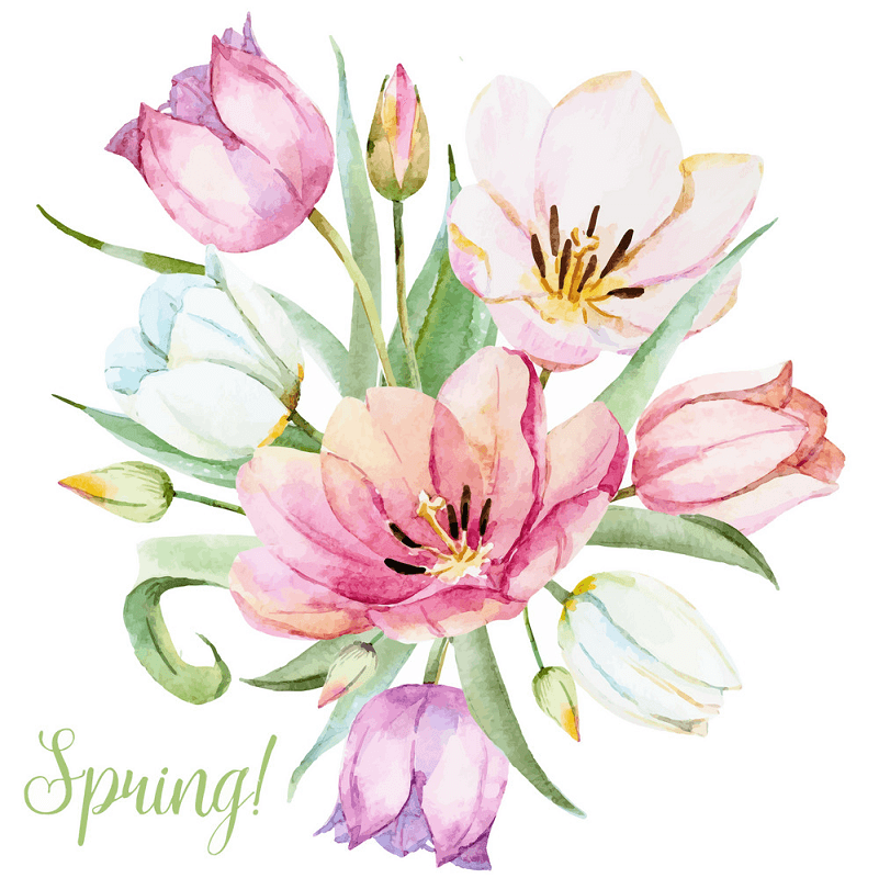 水彩の春の花のイラスト