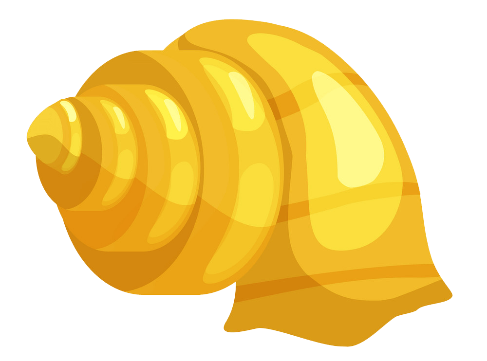 黄色い貝殻 イラスト透明 イラスト